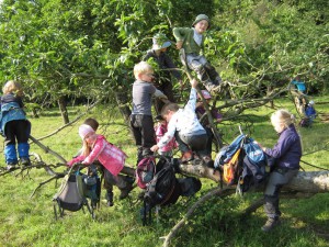 Auf Baum spielende Kinder