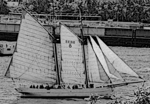 Schwarz - Weiß - Strichzeichnung eines Segelboots